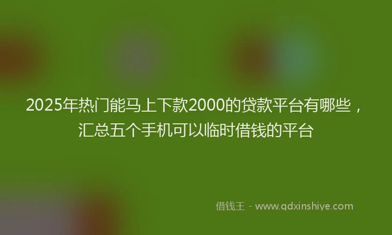 2025年热门能马上下款2000的贷款平台有哪些，汇总五个手机可以临时借钱的平台