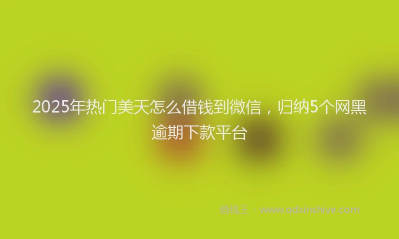 2025年热门美天怎么借钱到微信，归纳5个网黑逾期下款平台