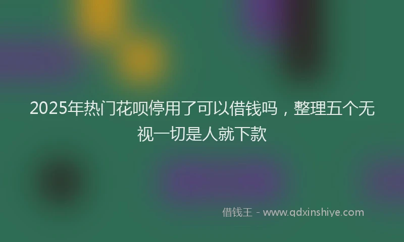 2025年热门花呗停用了可以借钱吗，整理五个无视一切是人就下款