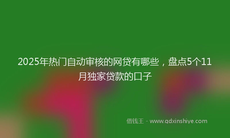 2025年热门自动审核的网贷有哪些，盘点5个11月独家贷款的口子