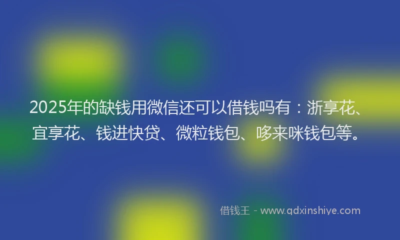 2025年的缺钱用微信还可以借钱吗有：浙享花、宜享花、钱进快贷、微粒钱包、哆来咪钱包等。