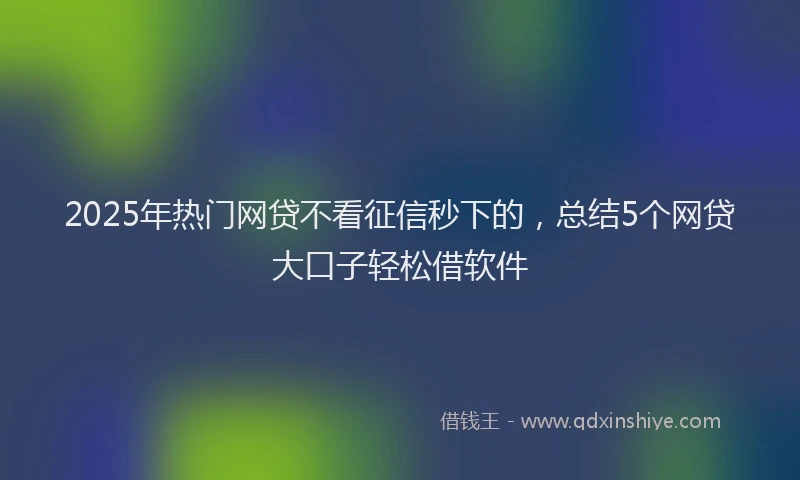 2025年热门网贷不看征信秒下的，总结5个网贷大口子轻松借软件