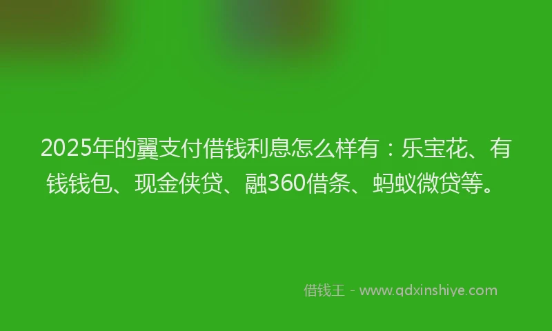 2025年的翼支付借钱利息怎么样有：乐宝花、有钱钱包、现金侠贷、融360借条、蚂蚁微贷等。