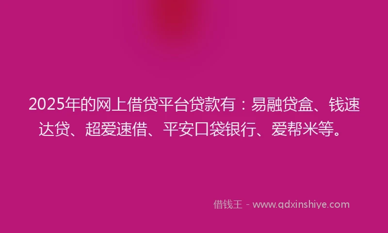 2025年的网上借贷平台贷款有：易融贷盒、钱速达贷、超爱速借、平安口袋银行、爱帮米等。