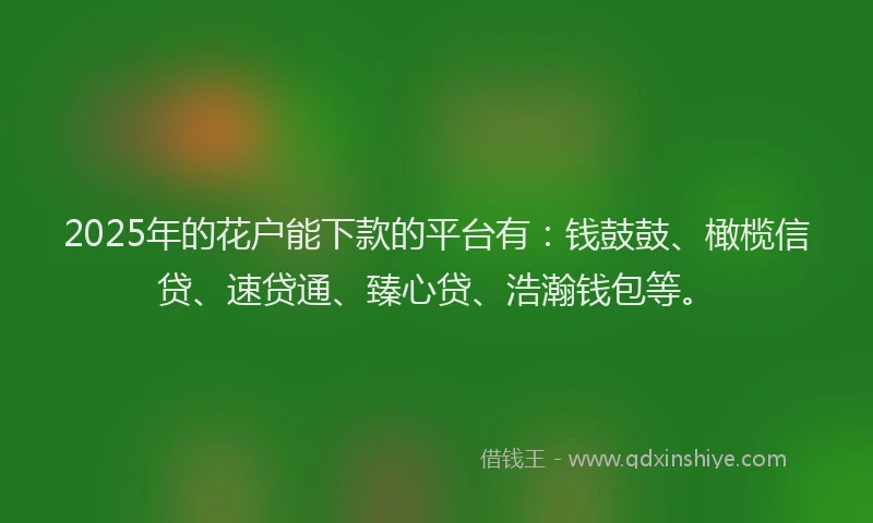 2025年的花户能下款的平台有：钱鼓鼓、橄榄信贷、速贷通、臻心贷、浩瀚钱包等。