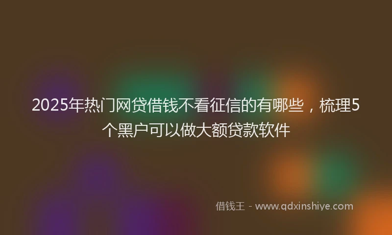 2025年热门网贷借钱不看征信的有哪些，梳理5个黑户可以做大额贷款软件