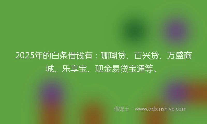 2025年的白条借钱有：珊瑚贷、百兴贷、万盛商城、乐享宝、现金易贷宝通等。