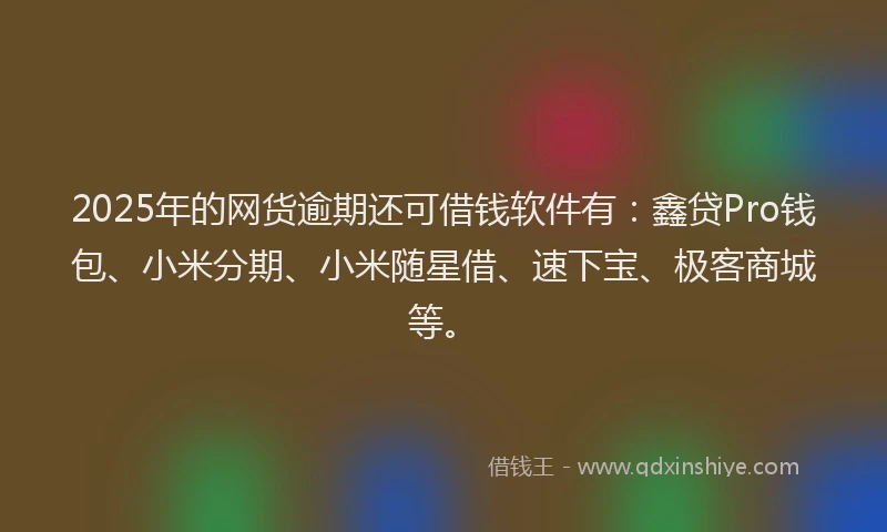 2025年的网货逾期还可借钱软件有：鑫贷Pro钱包、小米分期、小米随星借、速下宝、极客商城等。