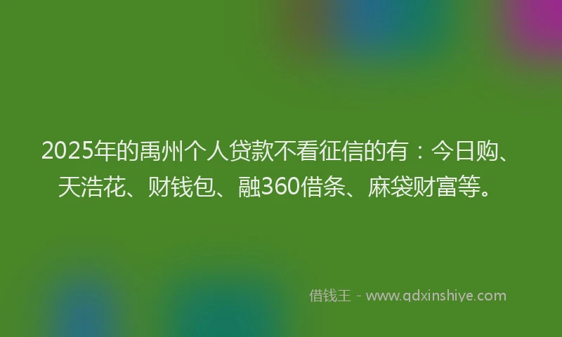 2025年的禹州个人贷款不看征信的有：今日购、天浩花、财钱包、融360借条、麻袋财富等。