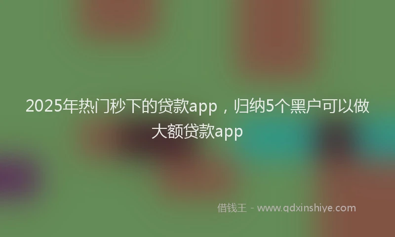 2025年热门秒下的贷款app，归纳5个黑户可以做大额贷款app
