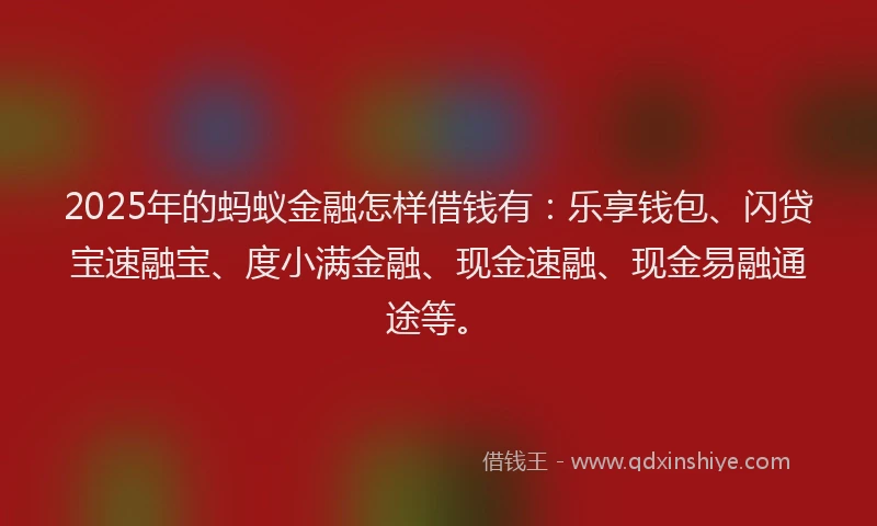 2025年的蚂蚁金融怎样借钱有：乐享钱包、闪贷宝速融宝、度小满金融、现金速融、现金易融通途等。