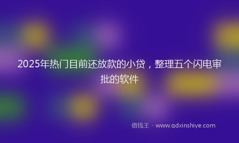 2025年热门目前还放款的小贷，整理五个闪电审批的软件