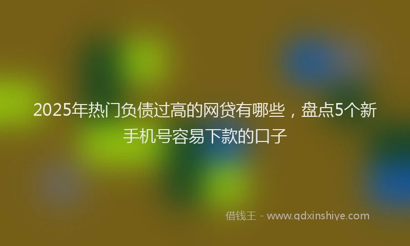 2025年热门负债过高的网贷有哪些，盘点5个新手机号容易下款的口子
