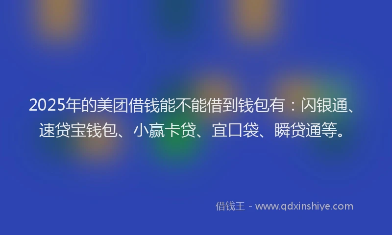 2025年的美团借钱能不能借到钱包有：闪银通、速贷宝钱包、小赢卡贷、宜口袋、瞬贷通等。