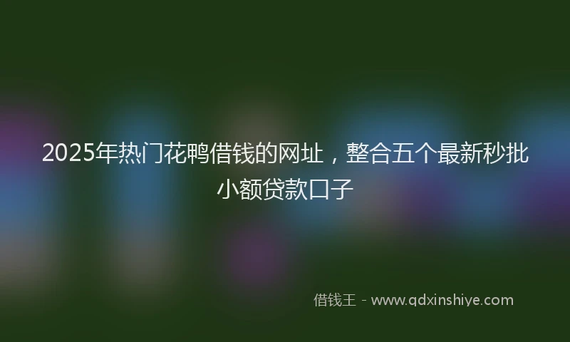 2025年热门花鸭借钱的网址，整合五个最新秒批小额贷款口子