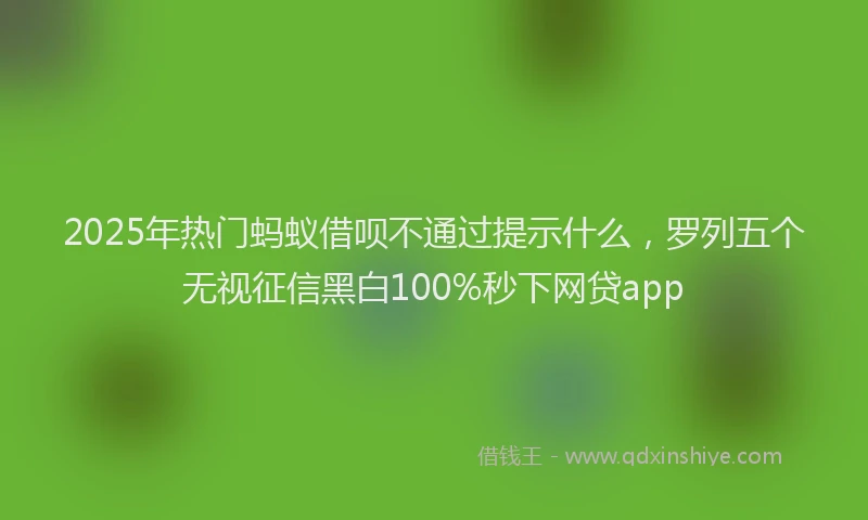 2025年热门蚂蚁借呗不通过提示什么，罗列五个无视征信黑白100%秒下网贷app