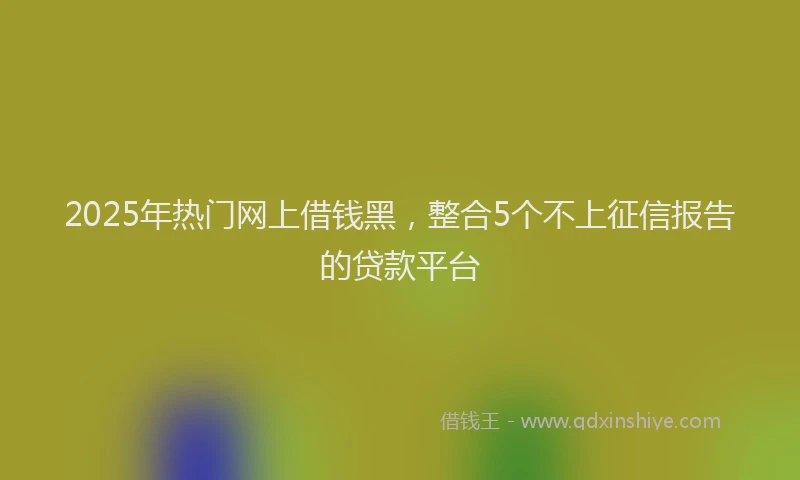 2025年热门网上借钱黑，整合5个不上征信报告的贷款平台