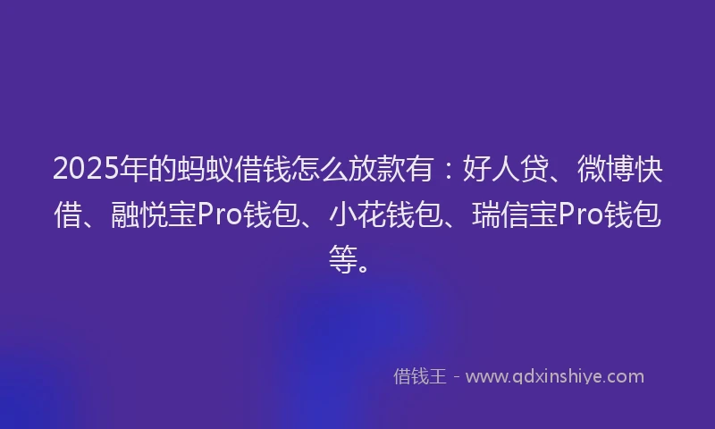 2025年的蚂蚁借钱怎么放款有：好人贷、微博快借、融悦宝Pro钱包、小花钱包、瑞信宝Pro钱包等。