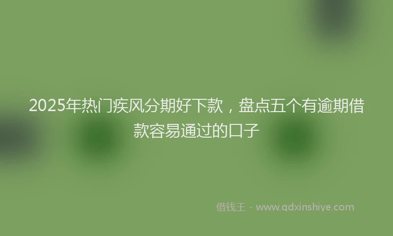 2025年热门疾风分期好下款，盘点五个有逾期借款容易通过的口子