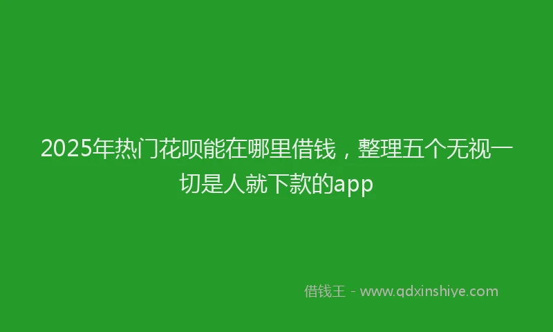 2025年热门花呗能在哪里借钱，整理五个无视一切是人就下款的app
