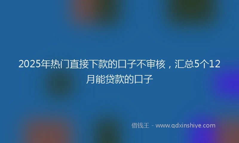 2025年热门直接下款的口子不审核，汇总5个12月能贷款的口子