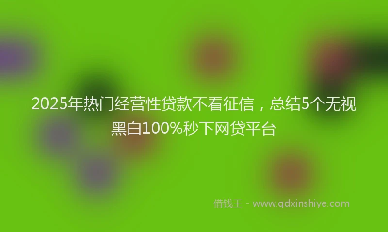 2025年热门经营性贷款不看征信，总结5个无视黑白100%秒下网贷平台