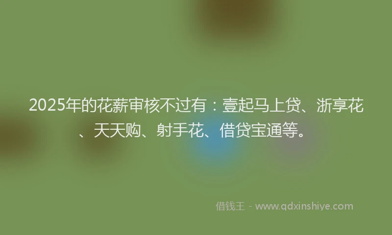 2025年的花薪审核不过有：壹起马上贷、浙享花、天天购、射手花、借贷宝通等。