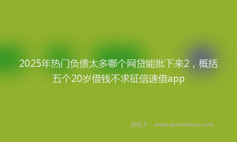 2025年热门负债太多哪个网贷能批下来2，概括五个20岁借钱不求征信速借app