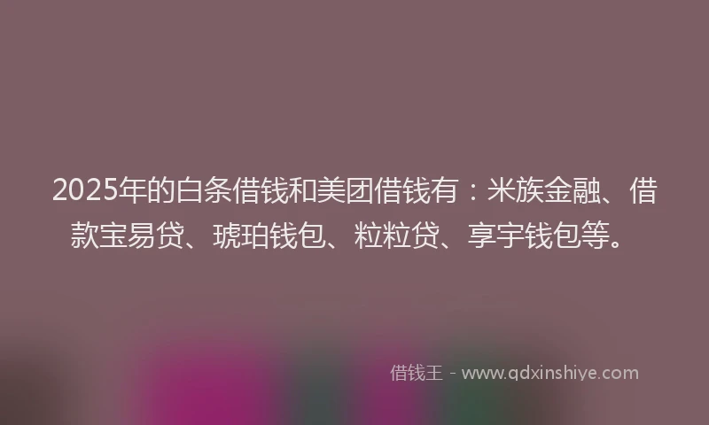 2025年的白条借钱和美团借钱有：米族金融、借款宝易贷、琥珀钱包、粒粒贷、享宇钱包等。