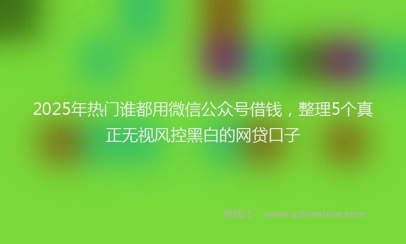 2025年热门谁都用微信公众号借钱，整理5个真正无视风控黑白的网贷口子