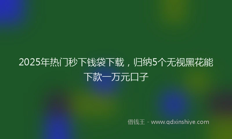 2025年热门秒下钱袋下载，归纳5个无视黑花能下款一万元口子