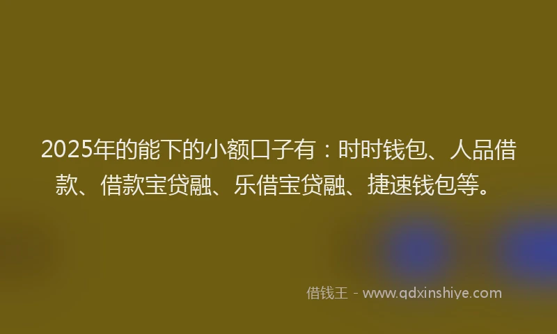 2025年的能下的小额口子有：时时钱包、人品借款、借款宝贷融、乐借宝贷融、捷速钱包等。