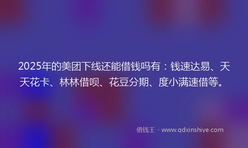 2025年的美团下线还能借钱吗有：钱速达易、天天花卡、林林借呗、花豆分期、度小满速借等。