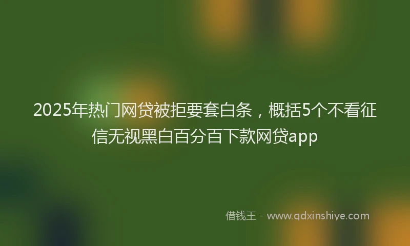 2025年热门网贷被拒要套白条，概括5个不看征信无视黑白百分百下款网贷app