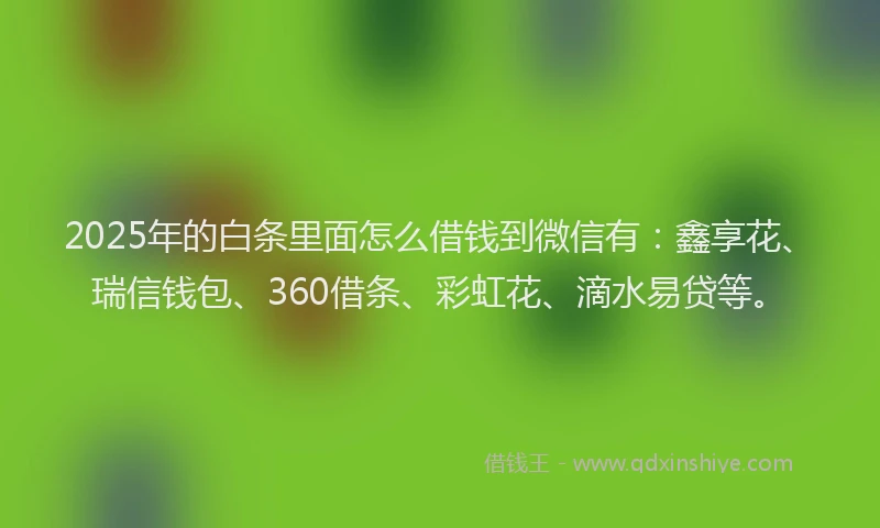 2025年的白条里面怎么借钱到微信有：鑫享花、瑞信钱包、360借条、彩虹花、滴水易贷等。