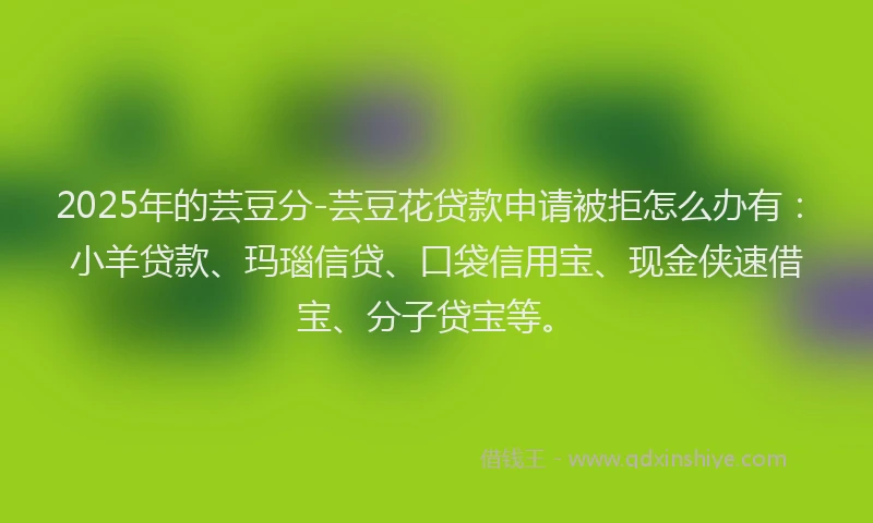 2025年的芸豆分-芸豆花贷款申请被拒怎么办有：小羊贷款、玛瑙信贷、口袋信用宝、现金侠速借宝、分子贷宝等。