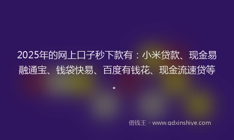 2025年的网上口子秒下款有：小米贷款、现金易融通宝、钱袋快易、百度有钱花、现金流速贷等。