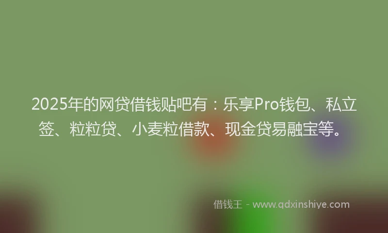 2025年的网贷借钱贴吧有：乐享Pro钱包、私立签、粒粒贷、小麦粒借款、现金贷易融宝等。