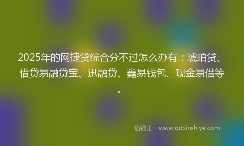 2025年的网捷贷综合分不过怎么办有：琥珀贷、借贷易融贷宝、迅融贷、鑫易钱包、现金易借等。
