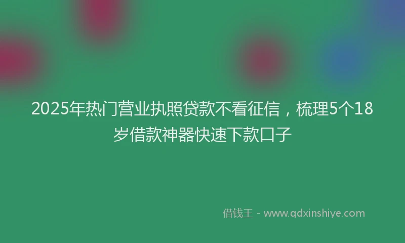2025年热门营业执照贷款不看征信，梳理5个18岁借款神器快速下款口子