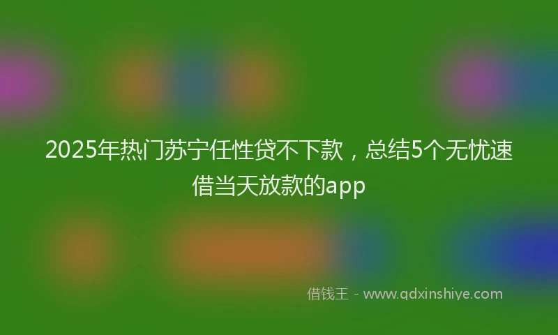 2025年热门苏宁任性贷不下款，总结5个无忧速借当天放款的app