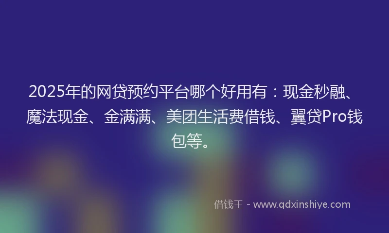 2025年的网贷预约平台哪个好用有：现金秒融、魔法现金、金满满、美团生活费借钱、翼贷Pro钱包等。