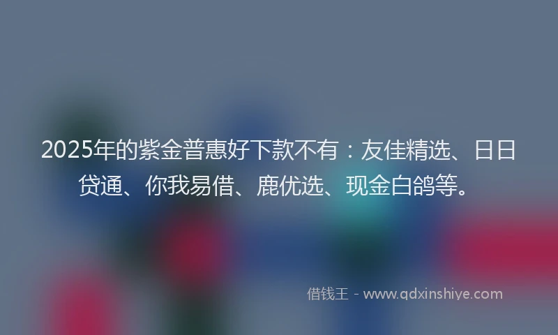 2025年的紫金普惠好下款不有：友佳精选、日日贷通、你我易借、鹿优选、现金白鸽等。