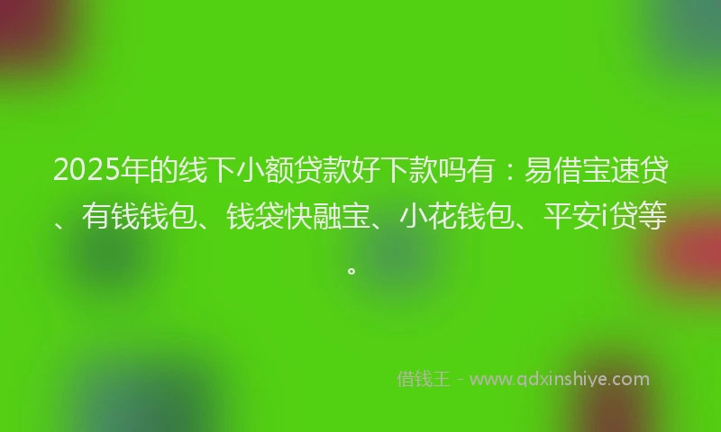 2025年的线下小额贷款好下款吗有：易借宝速贷、有钱钱包、钱袋快融宝、小花钱包、平安i贷等。