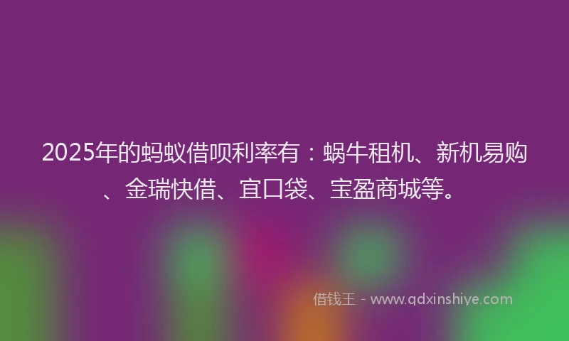 2025年的蚂蚁借呗利率有：蜗牛租机、新机易购、金瑞快借、宜口袋、宝盈商城等。