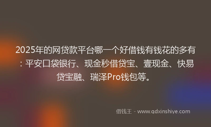 2025年的网贷款平台哪一个好借钱有钱花的多有：平安口袋银行、现金秒借贷宝、壹现金、快易贷宝融、瑞泽Pro钱包等。