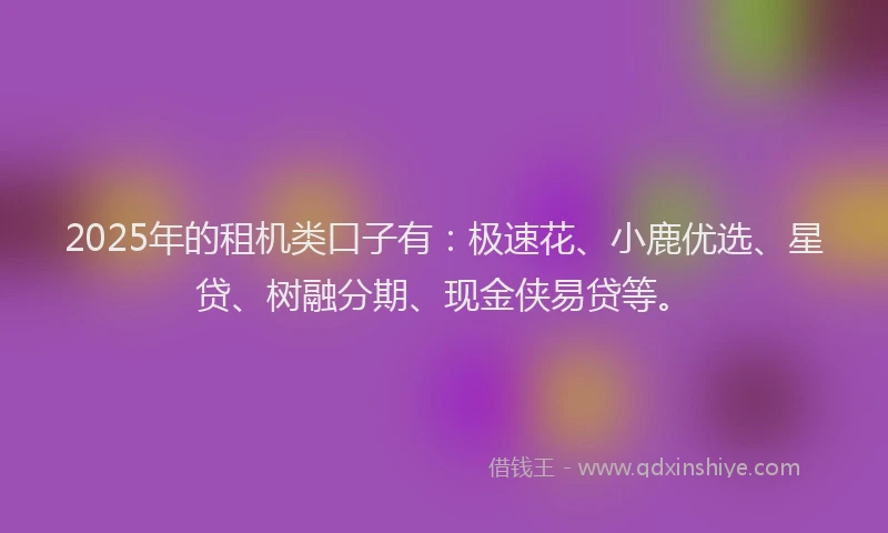 2025年的租机类口子有：极速花、小鹿优选、星贷、树融分期、现金侠易贷等。