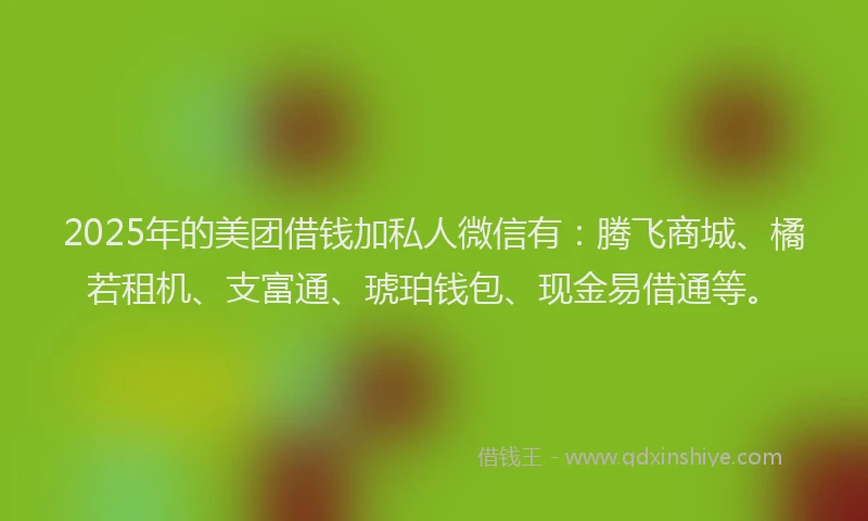 2025年的美团借钱加私人微信有：腾飞商城、橘若租机、支富通、琥珀钱包、现金易借通等。