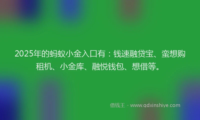 2025年的蚂蚁小金入口有：钱速融贷宝、蛮想购租机、小金库、融悦钱包、想借等。