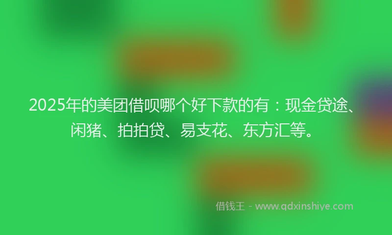 2025年的美团借呗哪个好下款的有：现金贷途、闲猪、拍拍贷、易支花、东方汇等。